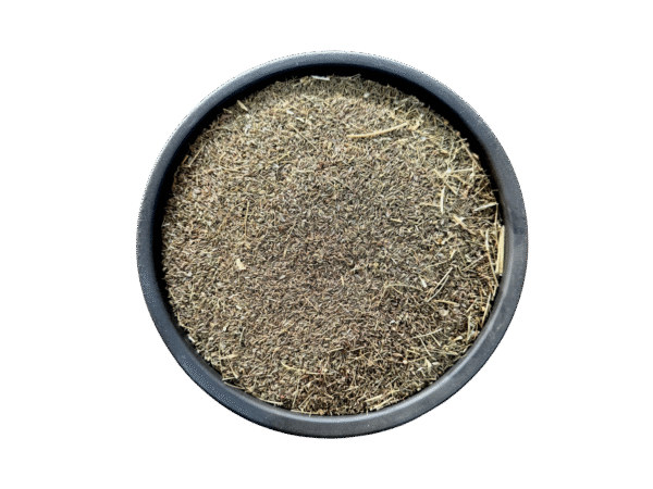 Dill seeds | soye | | soyee | سوئے