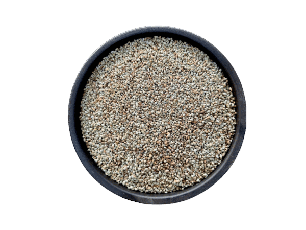 Cotton seeds | maghaz banola | مغز بنولہ | پنبہ دانہ