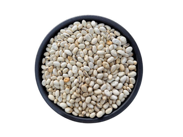 Mucuna Pruriens | Velvet Beans | Konch Safeed | کونچ سفید | تخم کونچ |