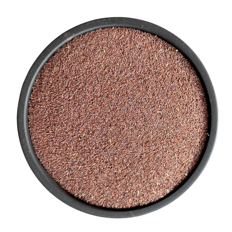 Todri Red Seeds | Tudri Lal Beej | Todri Surkh | Lepidium Iberis | تودری سرخ | تودری لال