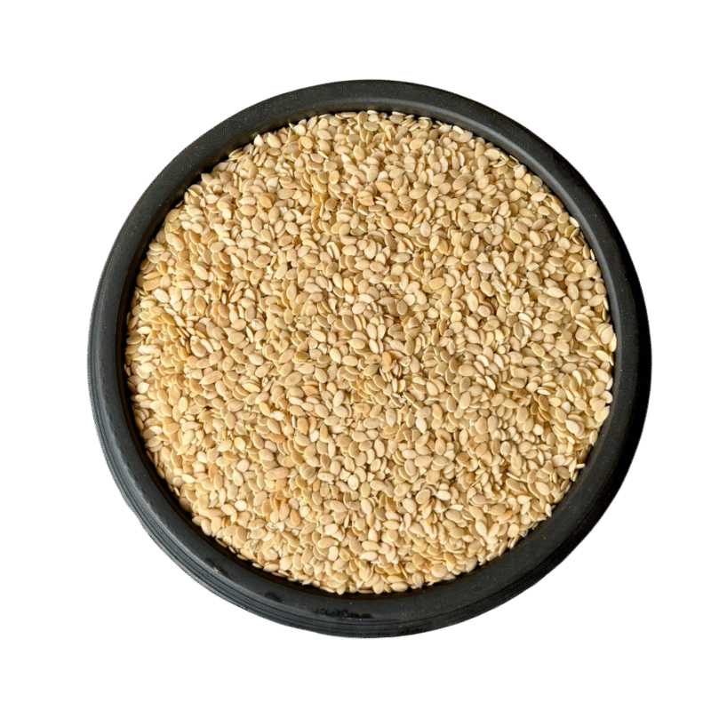 Lotus seeds | lotus seed | چہار مغز | چھار مغز