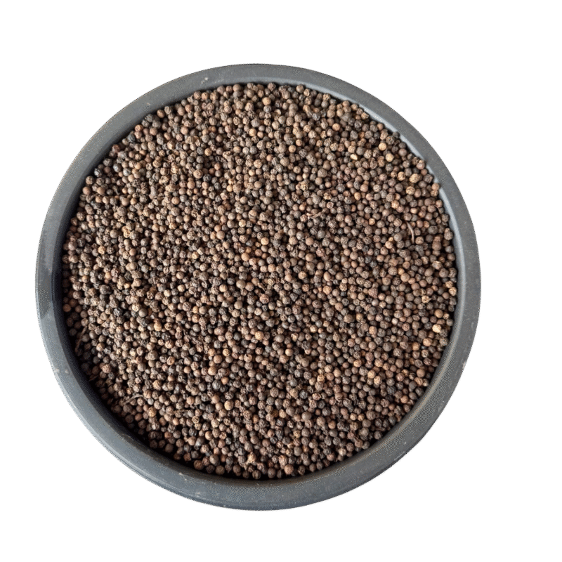 Black Pepper | Kali Mirch | کالی مرچ | مرچ سیاہ | فلفل | فلفل سیاہ