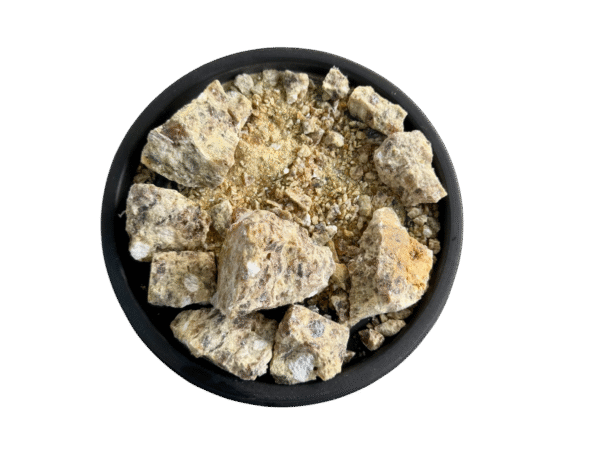 Frankincense | Loban | lobaan | کوڑیا | لوبان | لوباں No 1