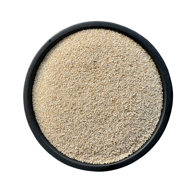White sesame seeds | white til | safaid til | safed til | تل | سفید تل