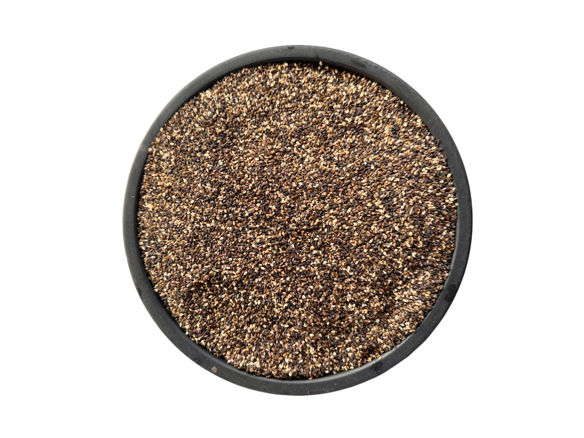 Black sesame seeds | black til | kala til | تل سیاہ | کالا تل | کالے تل