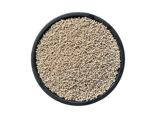 White Pepper | suped Mirch | سفید مرچ | مرچ | فلفل سفید