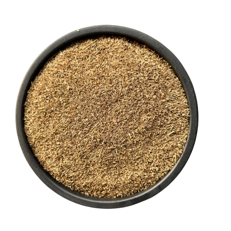 Carrot seeds | carrot seed | tukhm e gajar | tukhm gajar | tukhme gajar | tukhm-e-gajar |تخم گاجر | گاجر بیج | گاجر کے بیج