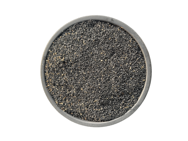 | Onion seeds | | onion seed | |Tukhm e piyaz | tukhm-epiyaz | | تخم پیاز |