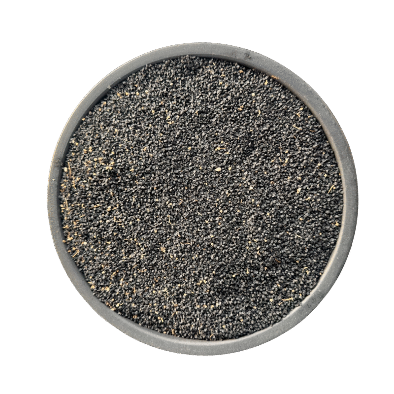 | Onion seeds | | onion seed | |Tukhm e piyaz | tukhm-epiyaz | | تخم پیاز |