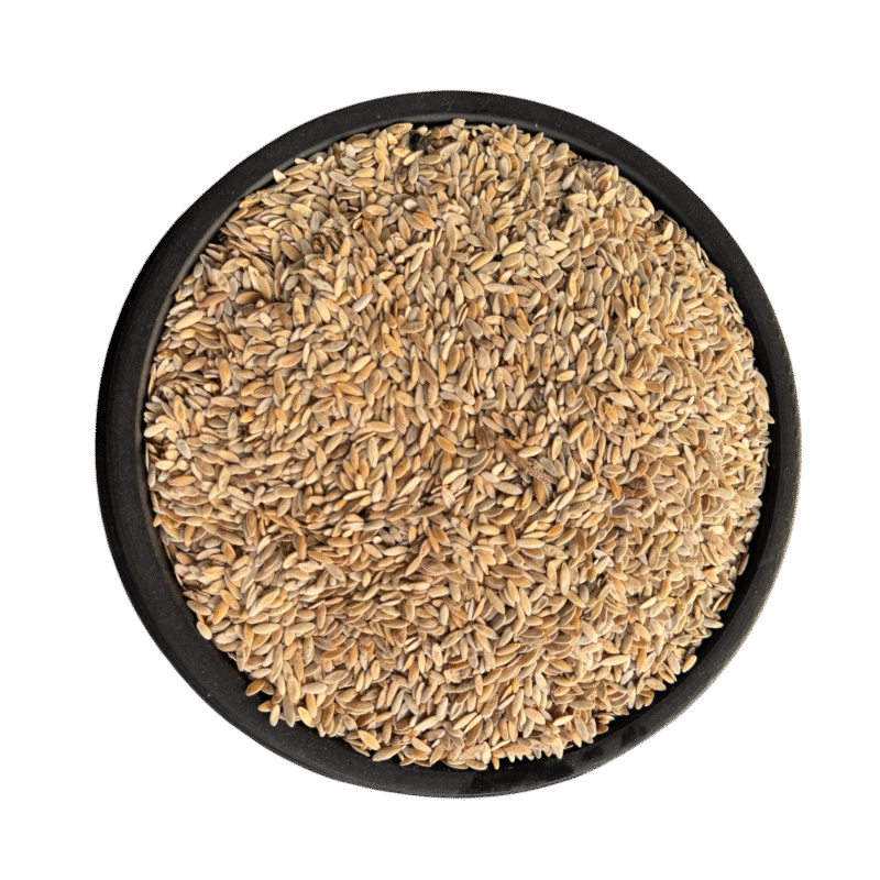 Cucumber seeds | cucumber seed | tukhm e kheera | tukham kheera | tukhm khayarain | تخم کھیرا | تخم خیارین