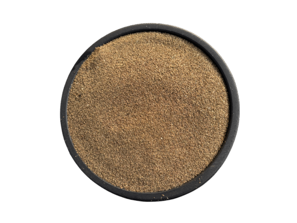Hyoscyamus niger | ajwain khurasani | henbane | اجوائن خراسانی