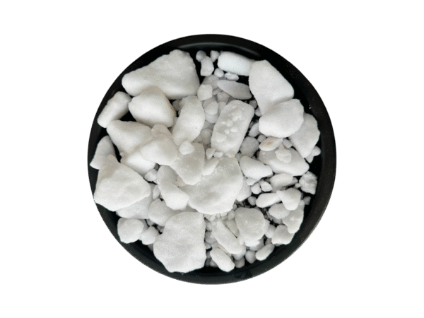 Camphor | Cinnamomum Camphora | sat kafoor | satt kafoor | ست کافور