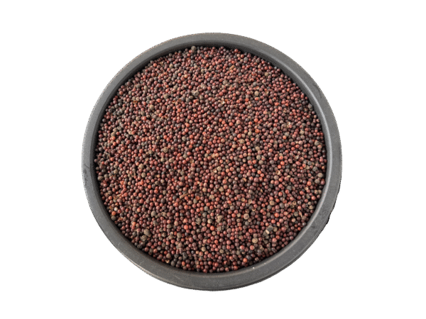 Cubeb | kabab chini | kabab cheeni | کباب چینی