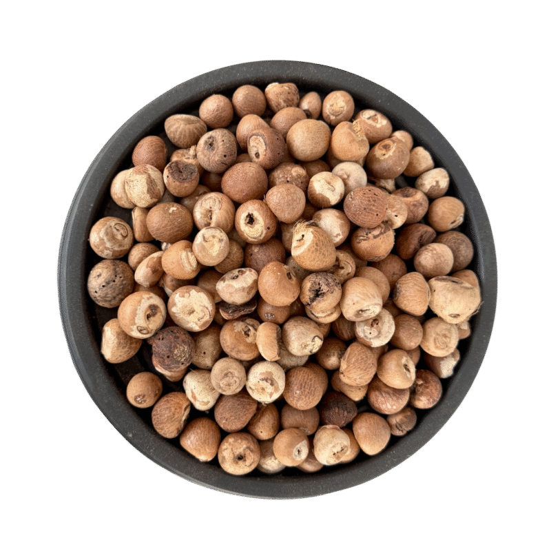 Areca nut | betal nut | sapari | supari | chalia | سپاری | چھالیہ