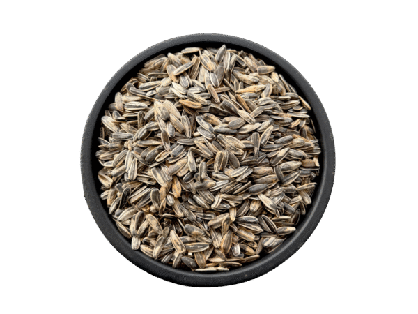 Sunflower seeds | sun flower seeds | common sunflower | سورج مکھی