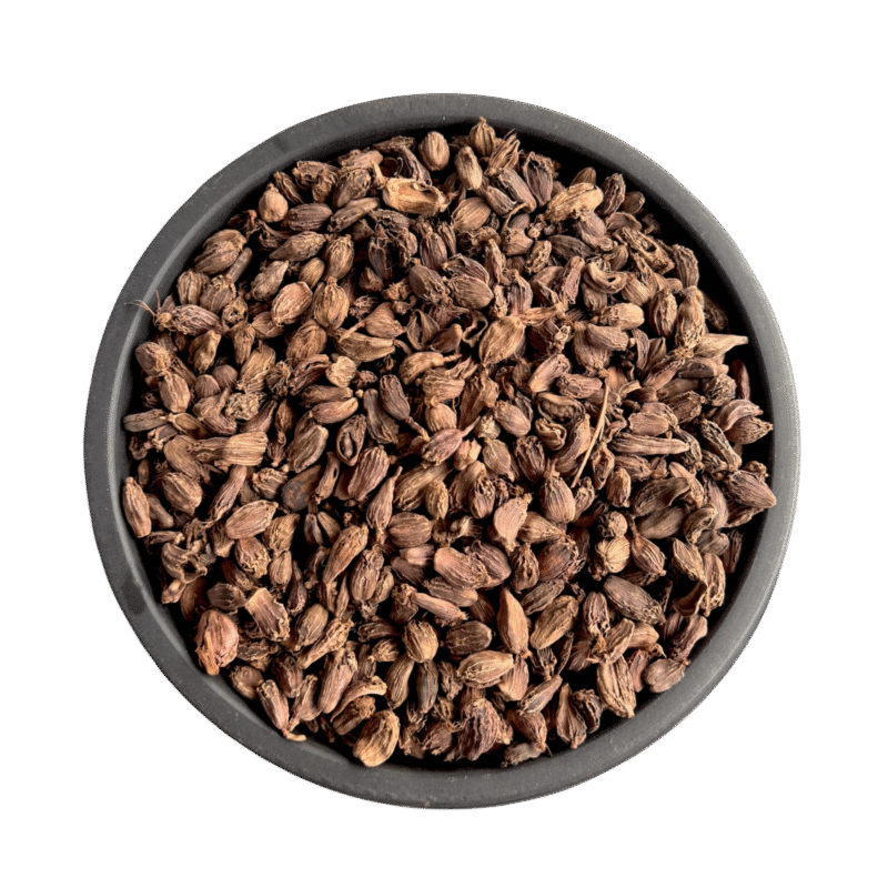 Black cardamom | elaichi kali | elaichi kalan | الائچی کلاں | الائچی سیاہ | کالی الائچی