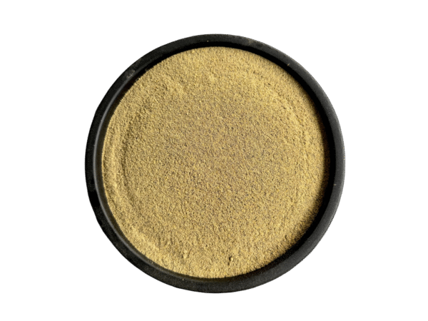 Cassia Absus Seeds | chasku | chaskoo | چاسکو | چاسکو میدہ