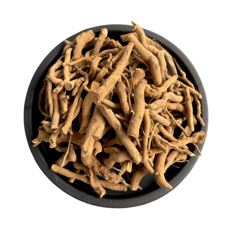 Rauwolfia serpentina | asrol | choti chandan | chotti chandan | اسرول | چھوٹی چندن