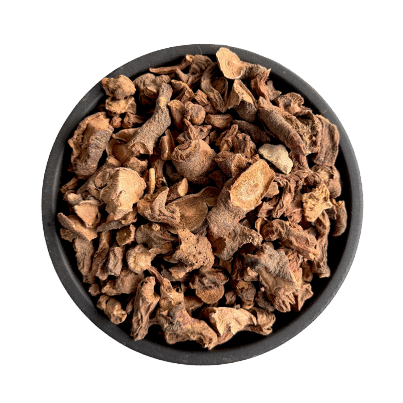Salvia Haematodes | Behman surkh | بہمن سرخ