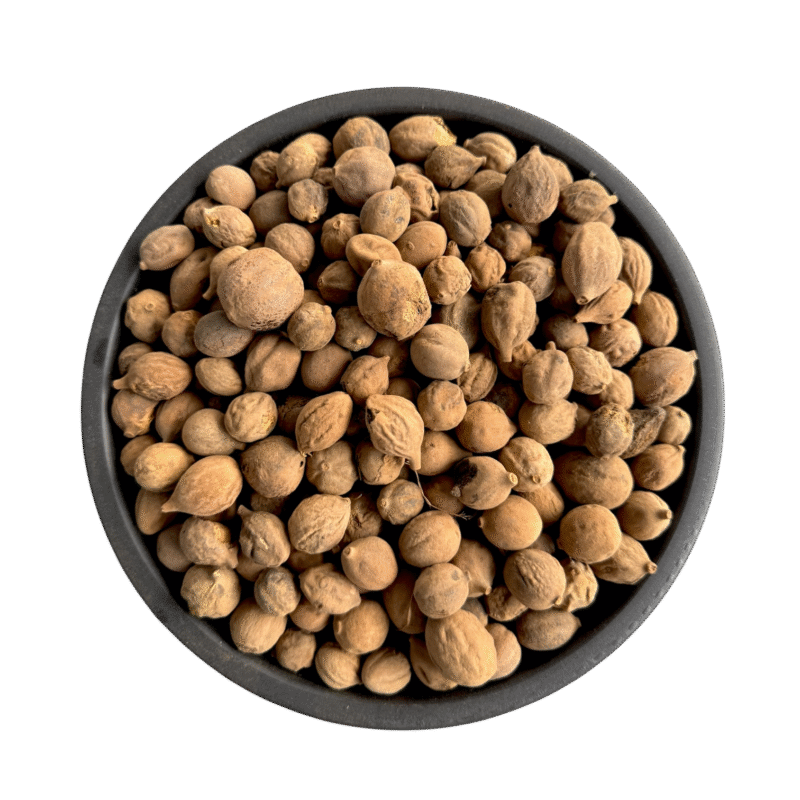 terminalia bellerica | Baherry | beleric myrobalan | bahera | بہیڑا | بہیڑے