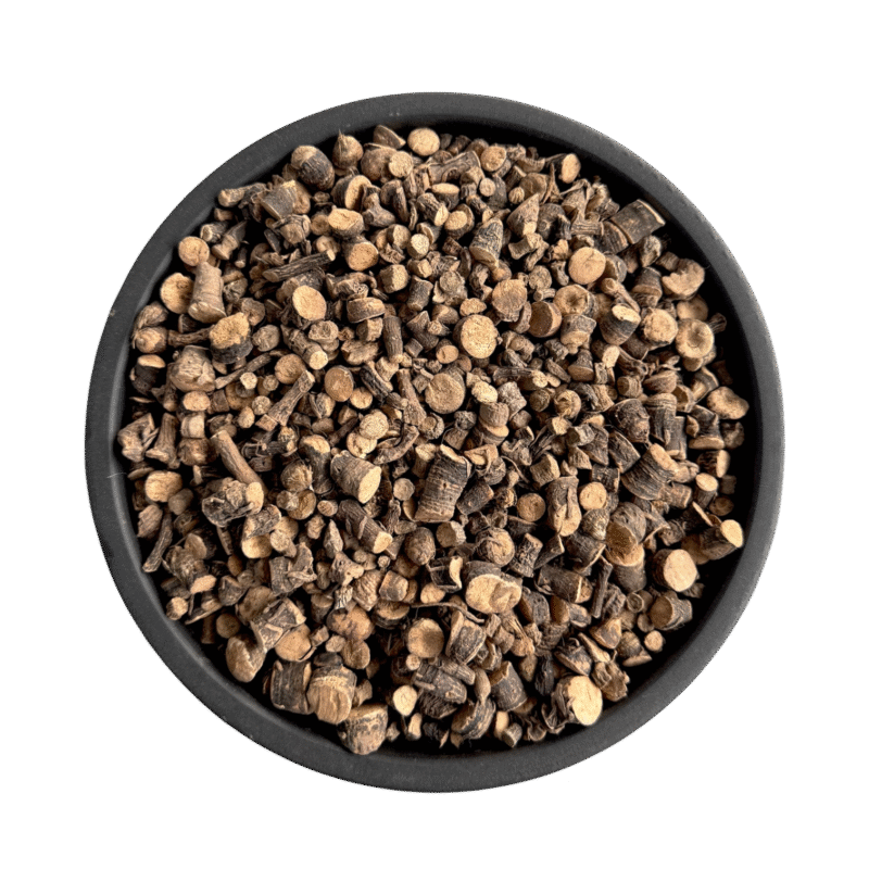 Curculigo Orchioides | Black musli | Musli siyah | musli siah | موصلی سیاہ | کالی موصلی