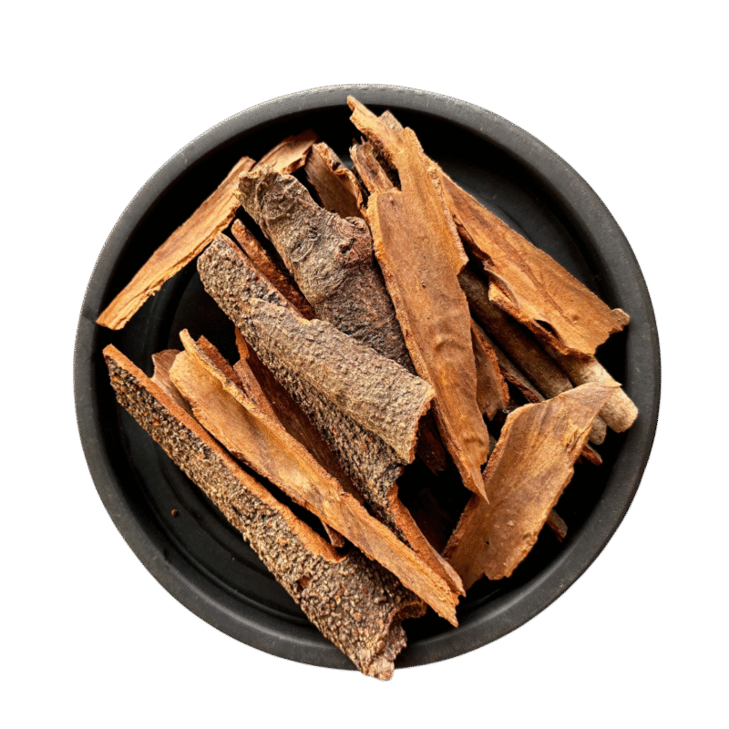 دارچینی ثابت