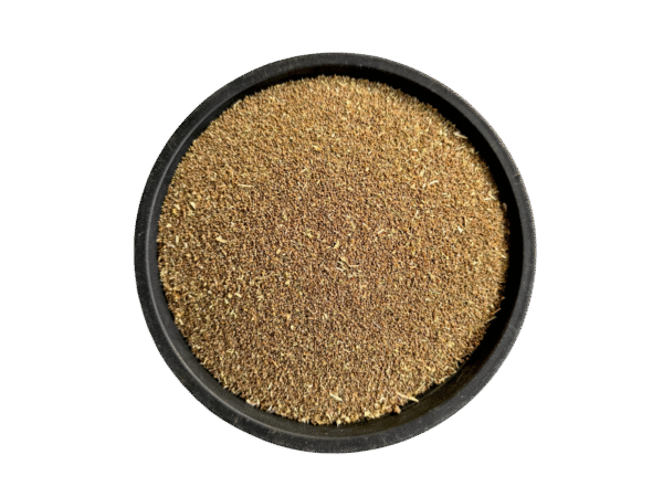 Ginger | سونٹھ | ادرک | زنجبیل