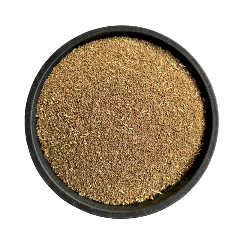 Ginger | سونٹھ | ادرک | زنجبیل