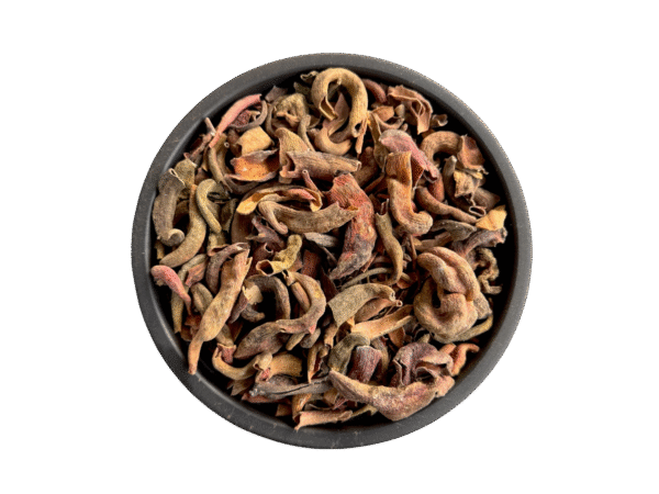 Pistacia Integerrima | kakra singi | کاکڑاسنگی