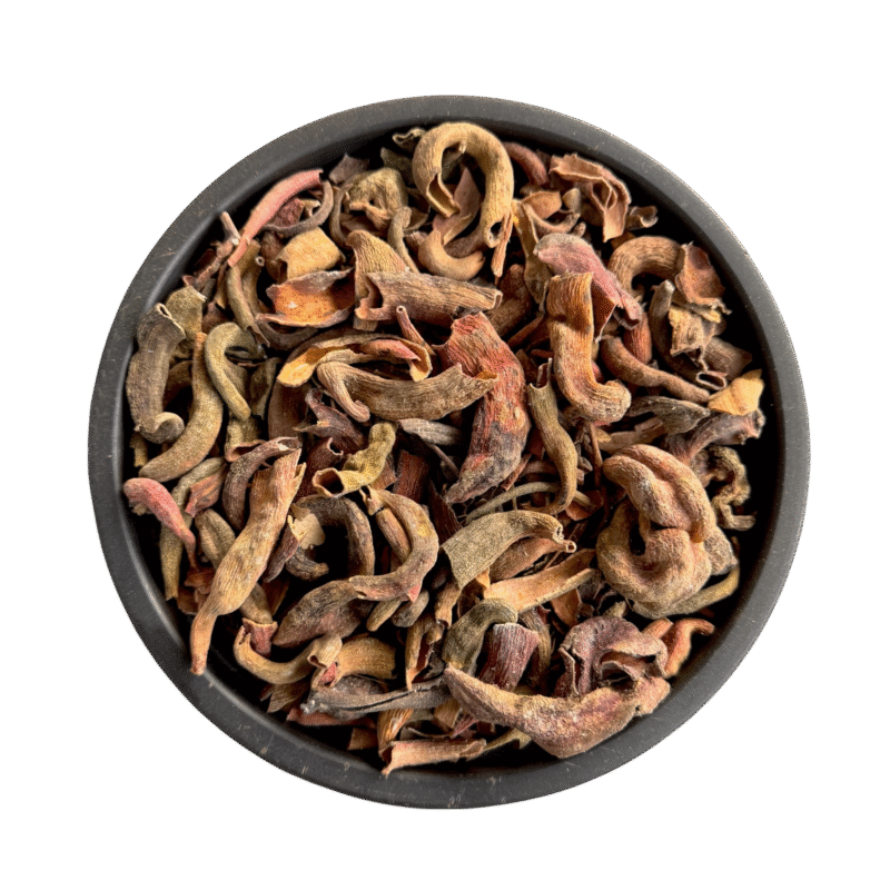 Pistacia Integerrima | kakra singi | کاکڑاسنگی