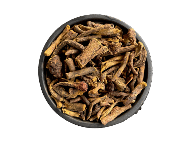 Rhubarb Roots | Revand Khatai | rewand khatai | ریوند خطائی