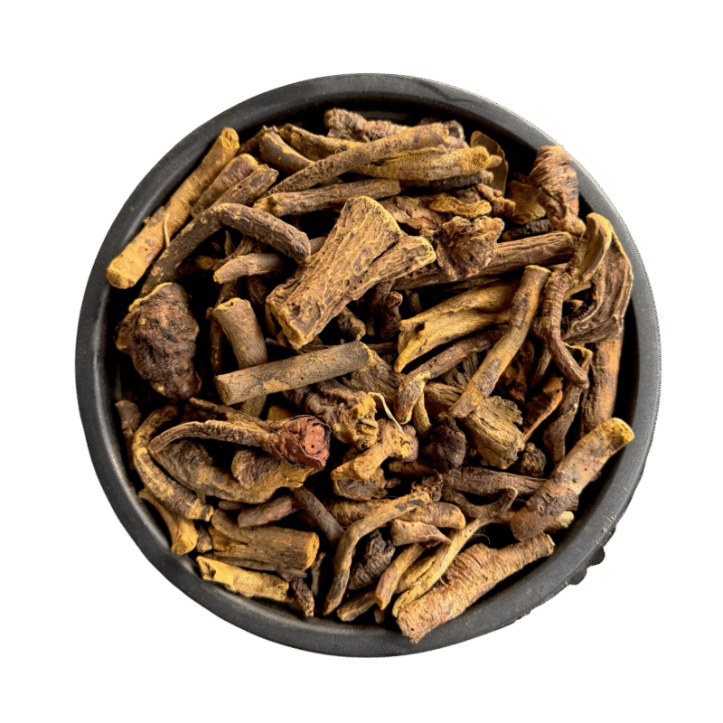 Rhubarb Roots | Revand Khatai | rewand khatai | ریوند خطائی
