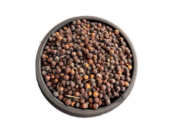 Chinaberry | Bakain | ceylon cedar | تخم بکائن