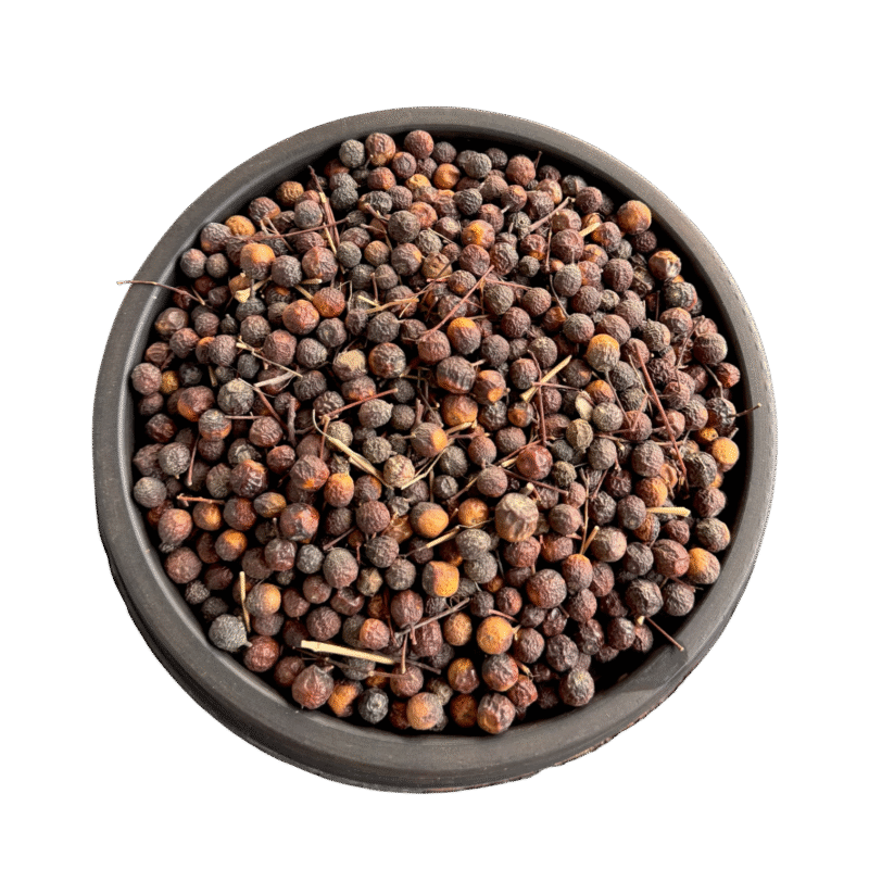 Chinaberry | Bakain | ceylon cedar | تخم بکائن