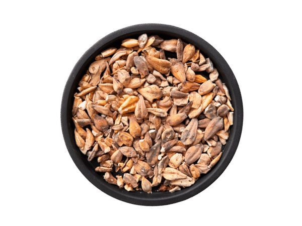 Soranjan shireen | suranjan shirin | سورنجان شیریں