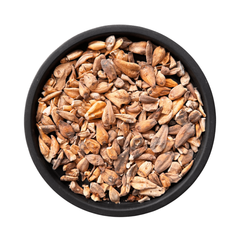 Soranjan shireen | suranjan shirin | سورنجان شیریں