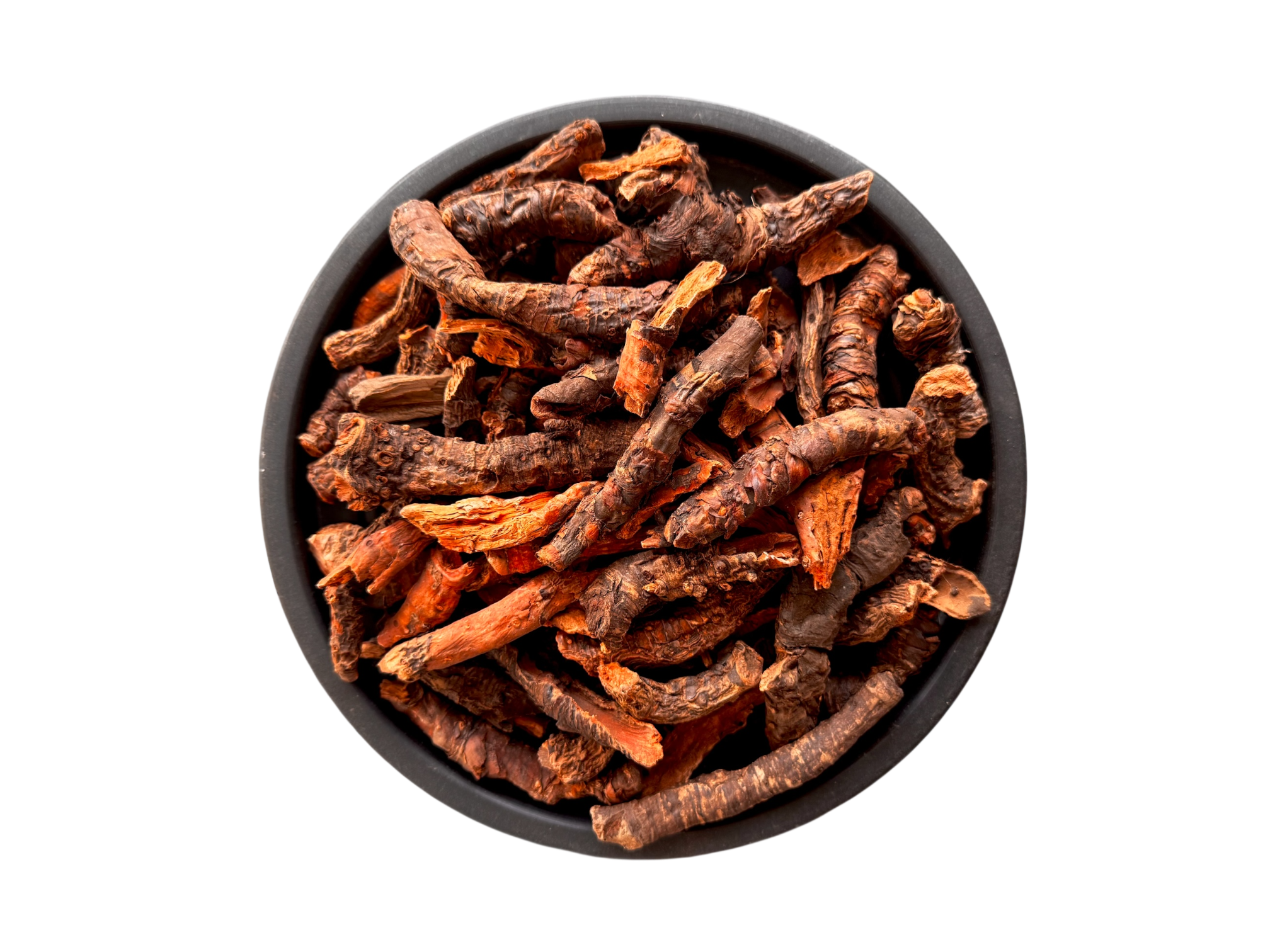 Bryophyllum | zakham e hayat | zakhme hayat | zakhm hayat | زحم حیات | زخم حیات