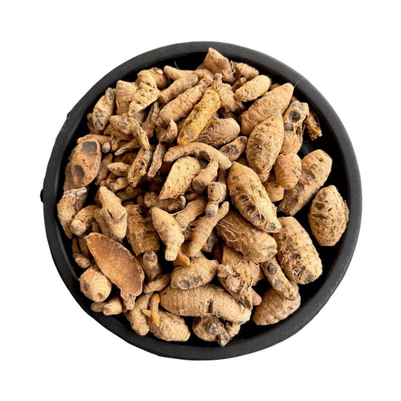 Bitter ginger | Narkachoor | narakchur | Zingiber Zerumbet | نرکچور | نرکچور ثابت