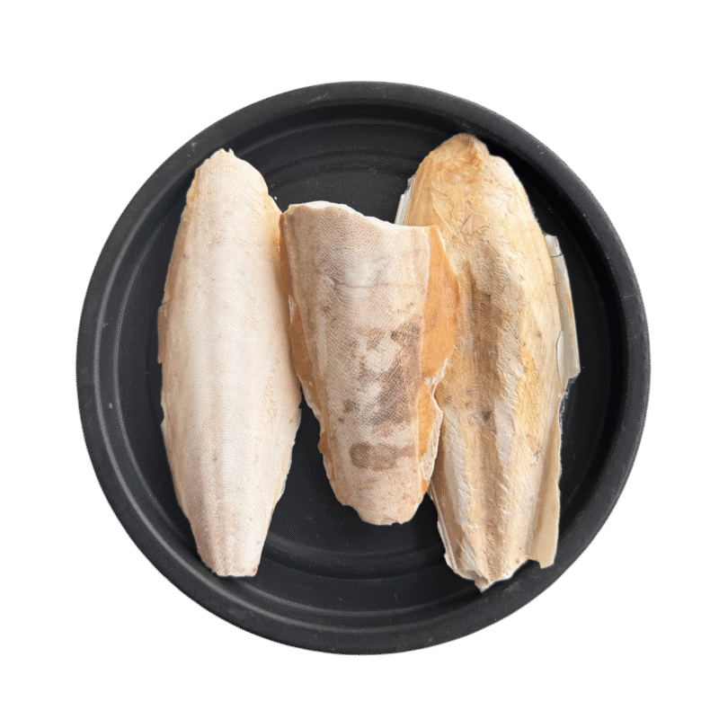 Cuttlefish bone | cuttle fish | samandar jhag | samundar jhag | سمندر جھاگ