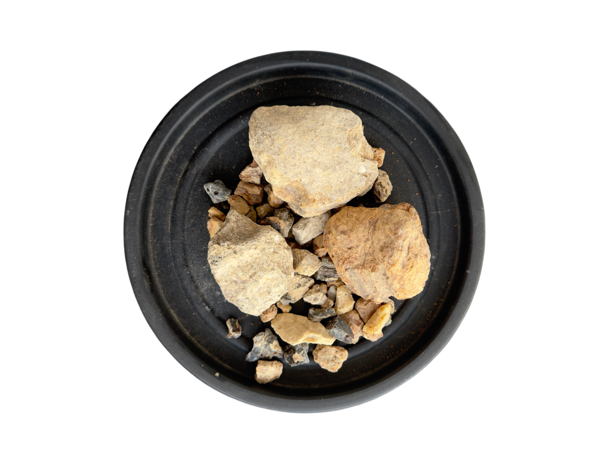 Raal safaid | raal safed | ral safaid | رال سفید