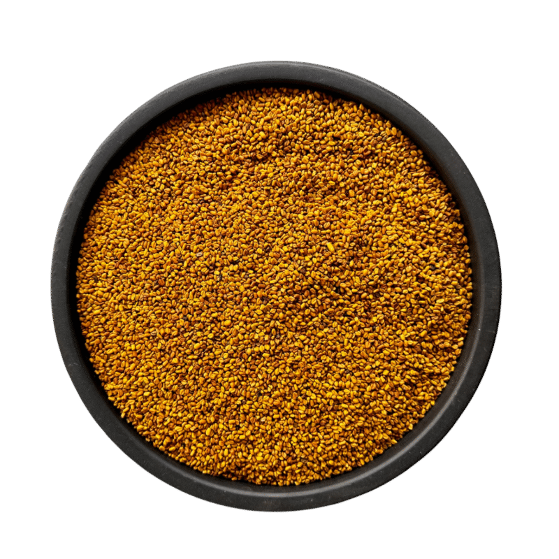 Graecum seeds | methree | meethray | میتھرے