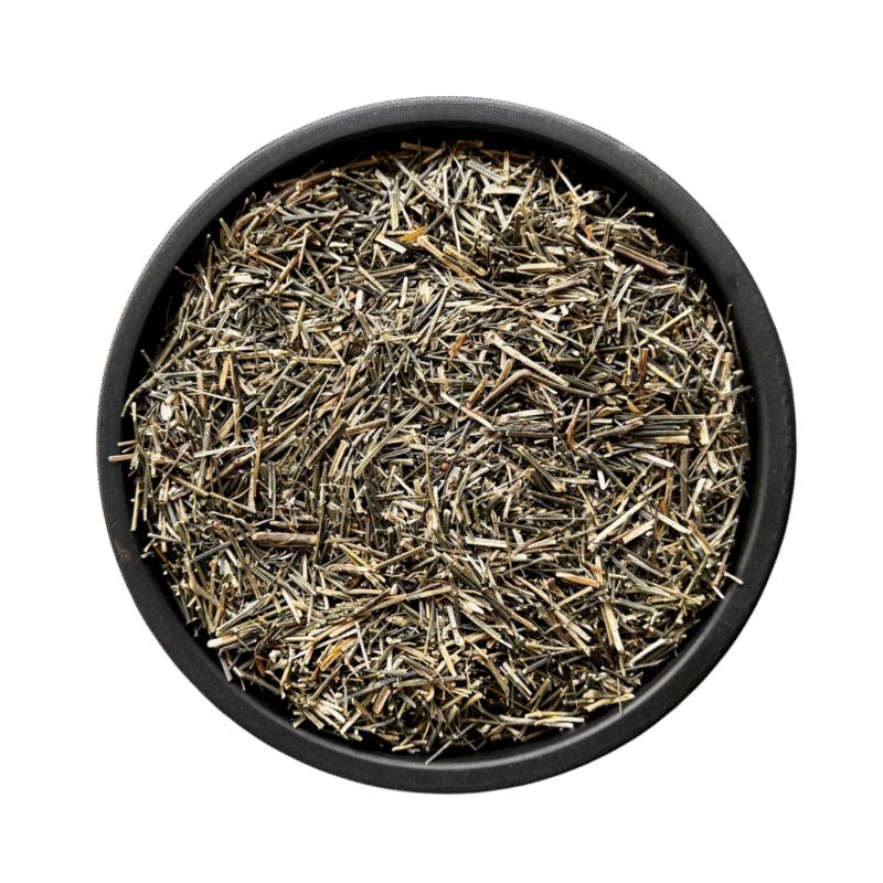 Charaita indian | چرایئتہ انڈین | چرائتہ | چرائتہ انڈین