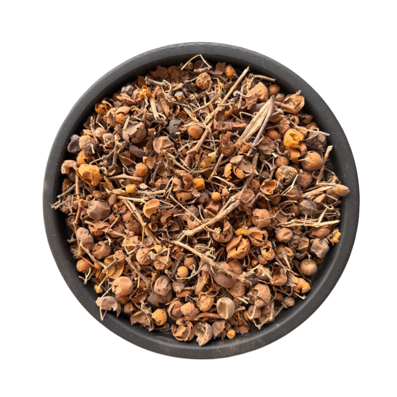 Colocynthis | مڑغونے | کوڑ تمہ چھوٹا | اندرائن چھوٹا