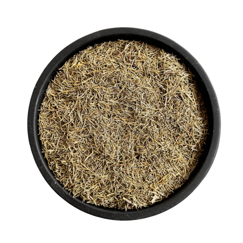 Rosemary leaves | rosemary | روز میری