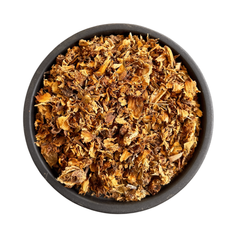 Ipomoea | water lily flower | | gul e neelofar | gule neelofer | nilofar | گل نیلوفر