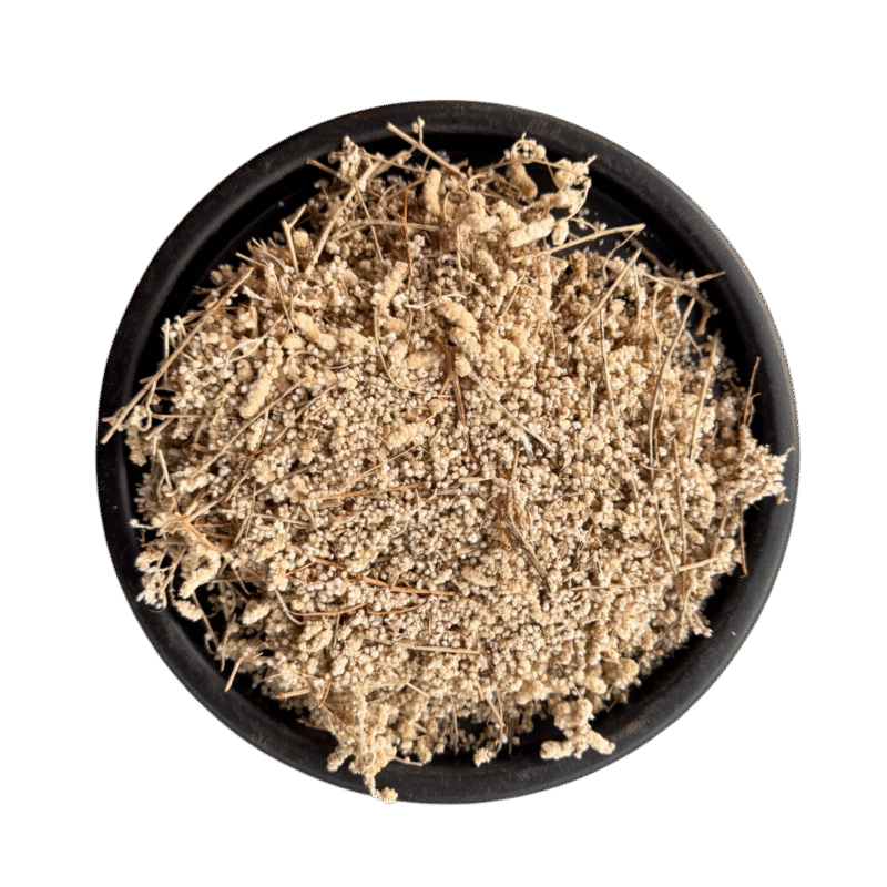 Sneeze wort | Nuk chikni | Chiken booti | چکن بوٹی | نھک چھکنی