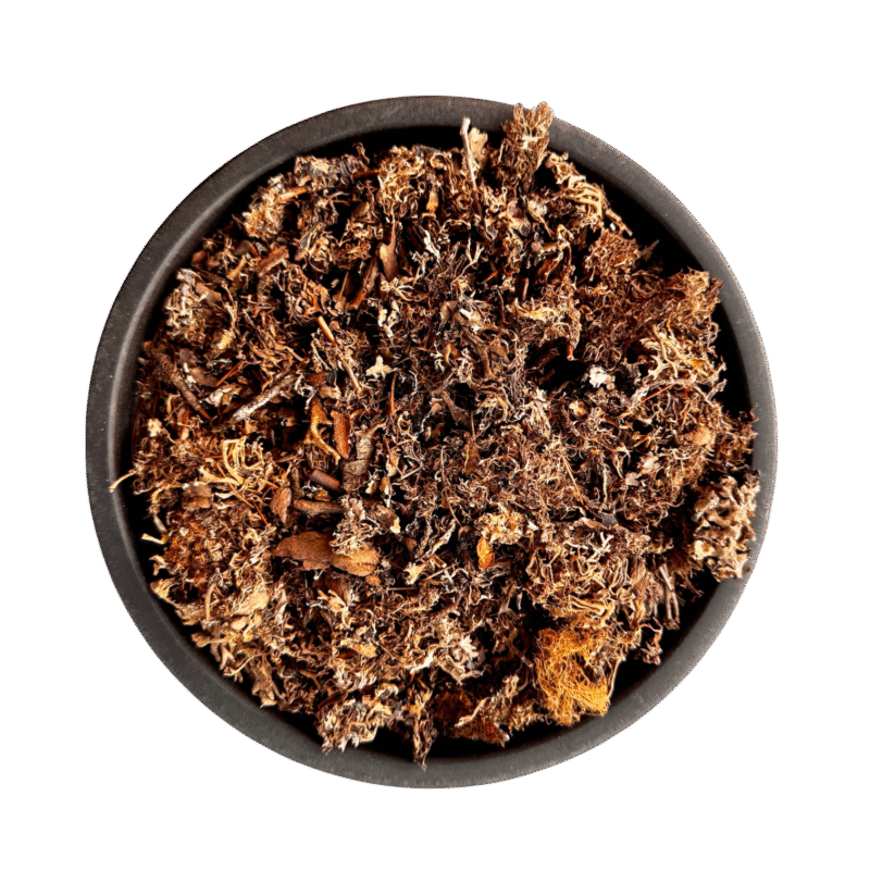 Parmelia perlata | charella | Charela | charrilah | چھڑیلا | چھڑیلہ | اشنہ