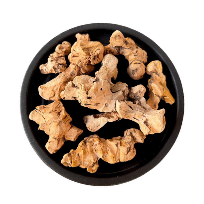 Smilax china | chob chini | چوب چینی