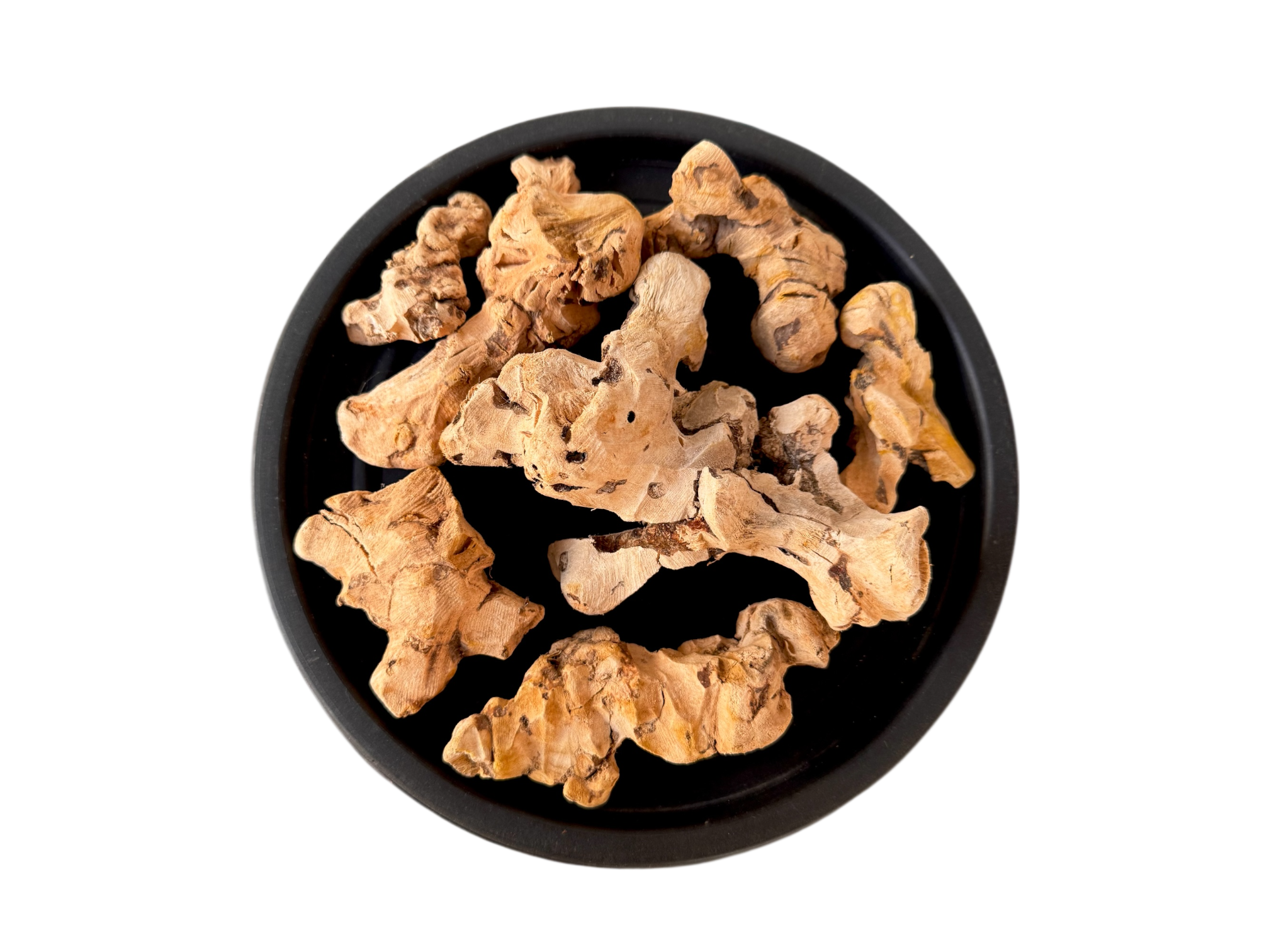 Smilax china | chob chini | چوب چینی