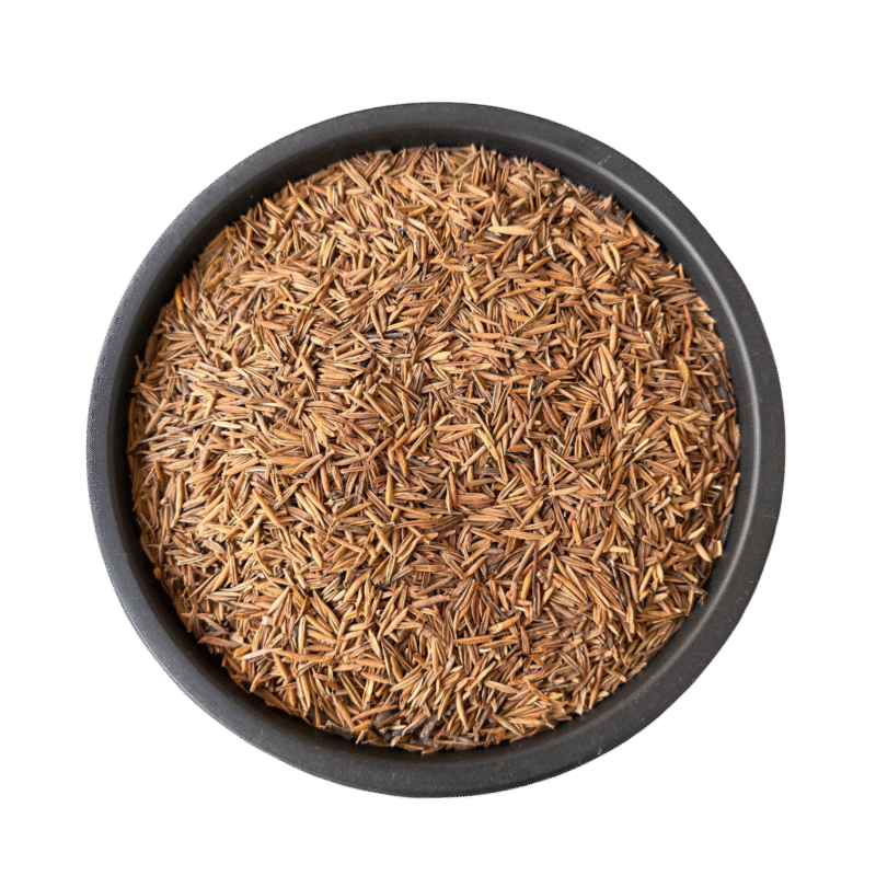 Tellicherry bark | Inderjo talakh | indarjo talkh | andarjo talakh | اندرجوتلخ | اندر جو تلخ | اندرجو تلخ